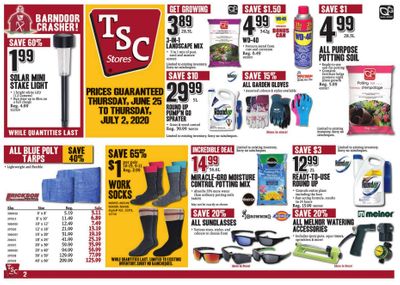 TSC Stores Flyer June 25 to July 2