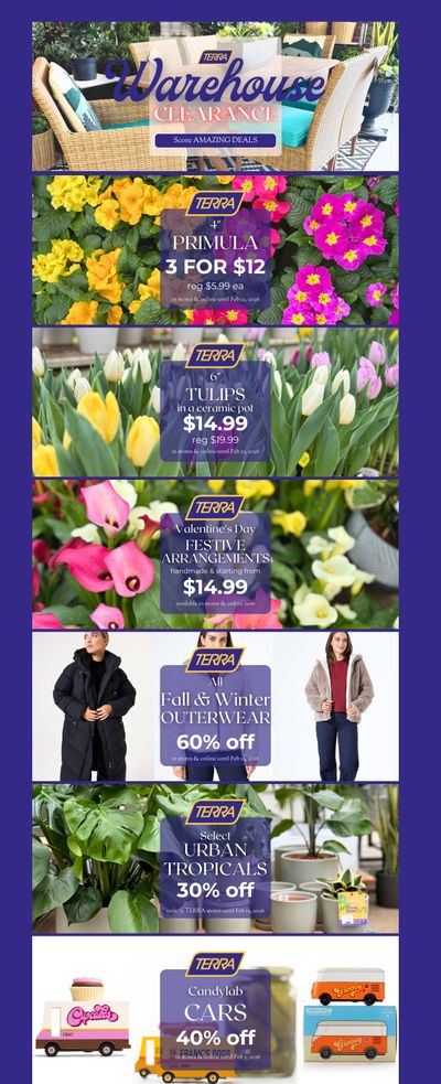 Terra Greenhouses Flyer February 6 to 12