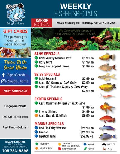 Big Al's (Barrie) Weekly Specials February 6 to 12