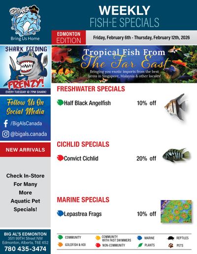Big Al's (Edmonton) Weekly Specials February 6 to 12