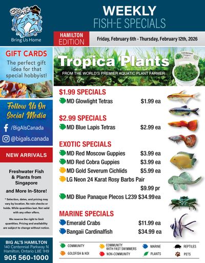 Big Al's (Hamilton) Weekly Specials February 6 to 12