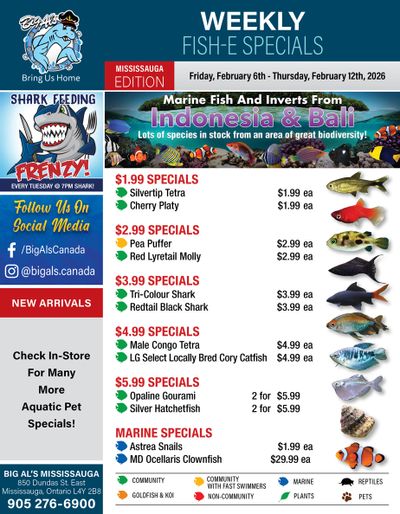 Big Al's (Mississauga) Weekly Specials February 6 to 12