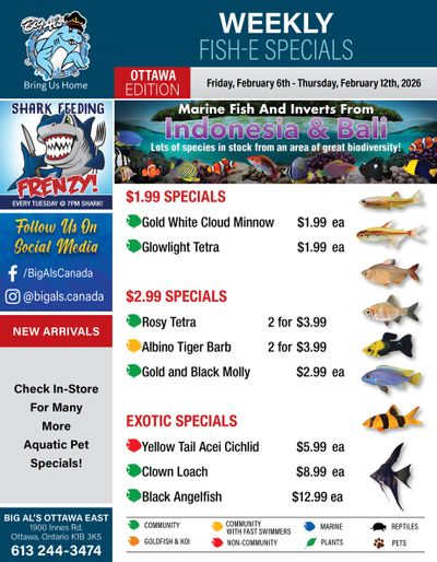Big Al's (Ottawa) Weekly Specials February 6 to 12