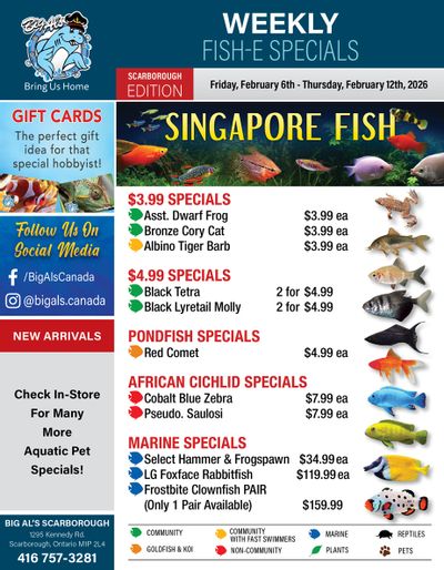 Big Al's (Scarborough) Weekly Specials February 6 to 12