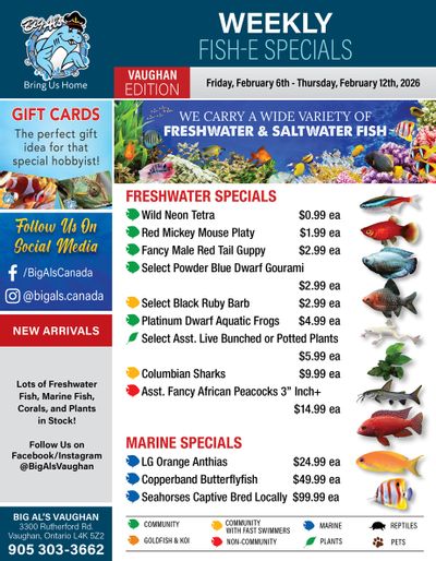 Big Al's (Vaughan) Weekly Specials February 6 to 12
