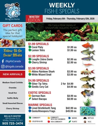 Big Al's (Whitby) Weekly Specials February 6 to 12