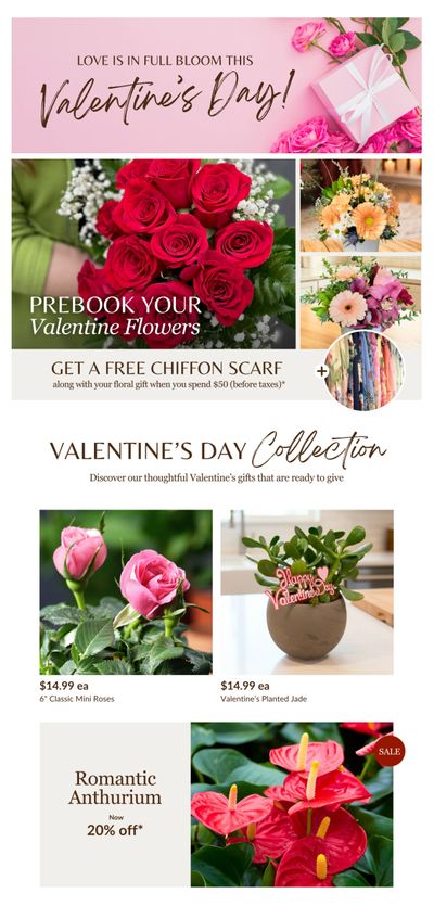 Lakeside Garden Gallery Flyer February 6 to 12
