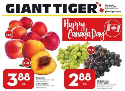 Giant Tiger Canada Flyer Deals June 24th – 30th