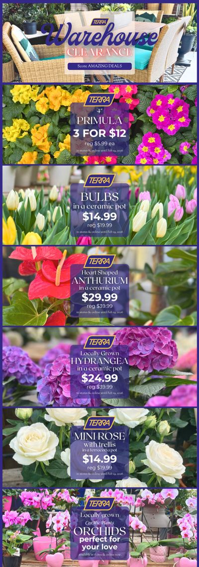 Terra Greenhouses Flyer February 13 to 19