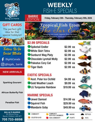 Big Al's (Barrie) Weekly Specials February 13 to 19