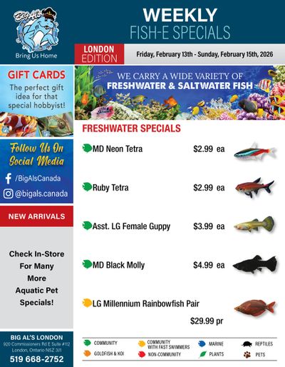 Big Al's (London) Weekend Specials February 13 to 15