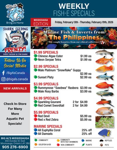 Big Al's (Mississauga) Weekly Specials February 13 to 19