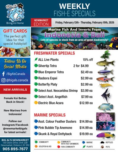 Big Al's (Newmarket) Weekly Specials February 13 to 19