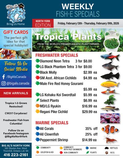 Big Al's (North York) Weekly Specials February 13 to 19