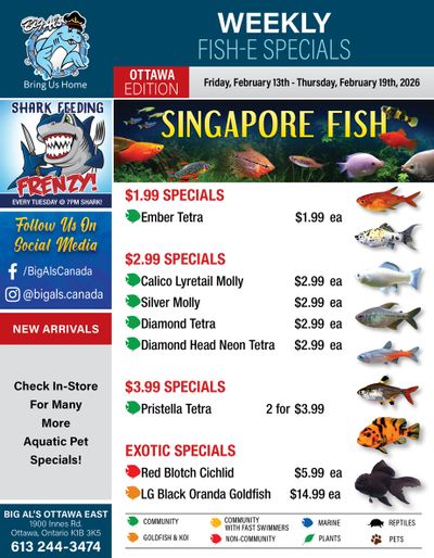 Big Al's (Ottawa) Weekly Specials February 13 to 19