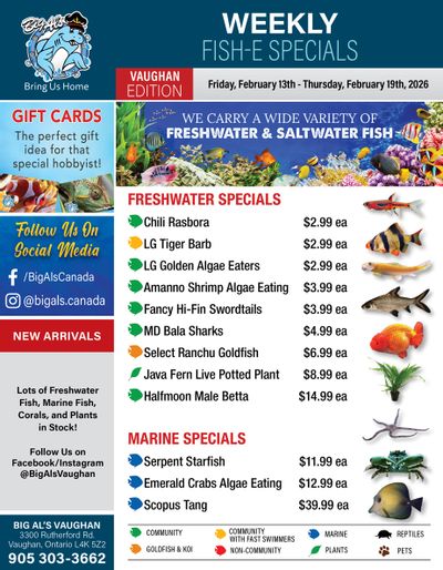 Big Al's (Vaughan) Weekly Specials February 13 to 19