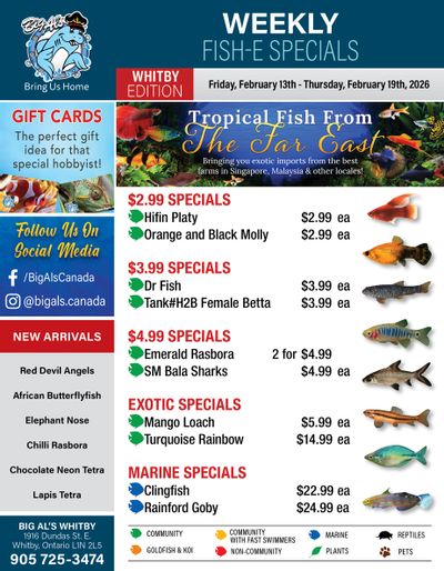 Big Al's (Whitby) Weekly Specials February 13 to 19