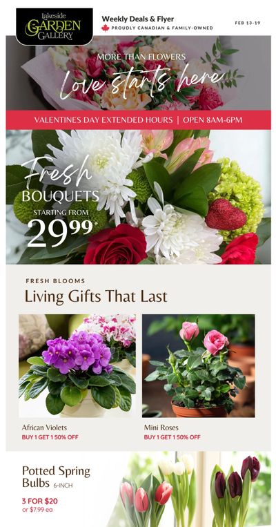Lakeside Garden Gallery Flyer February 13 to 19
