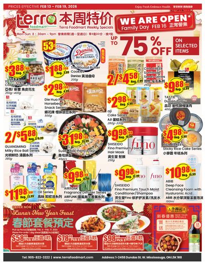 Terra Foodmart Flyer February 13 to 19