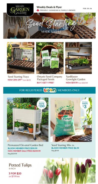 Lakeside Garden Gallery Flyer February 20 to 26