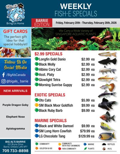 Big Al's (Barrie) Weekly Specials February 20 to 26