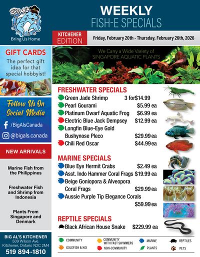 Big Al's (Kitchener) Weekly Specials February 20 to 26
