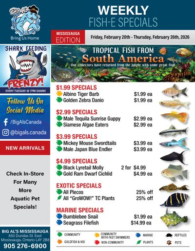 Big Al's (Mississauga) Weekly Specials February 20 to 26