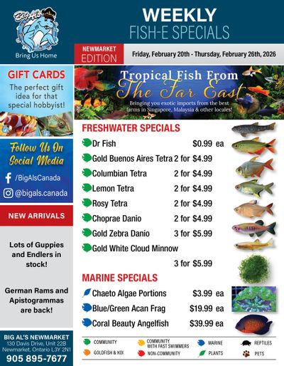 Big Al's (Newmarket) Weekly Specials February 20 to 26