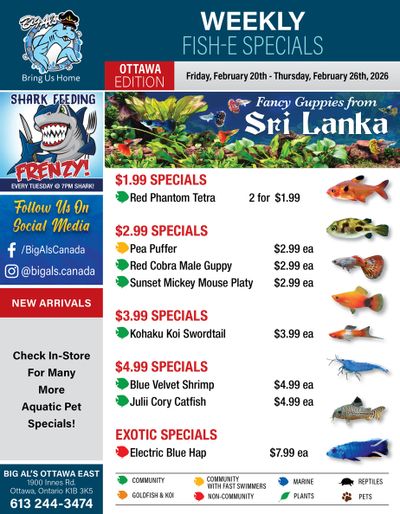 Big Al's (Ottawa) Weekly Specials February 20 to 26