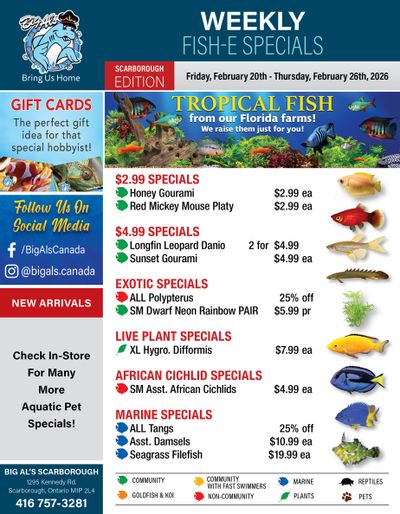 Big Al's (Scarborough) Weekly Specials February 20 to 26