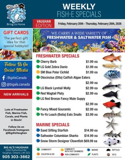 Big Al's (Vaughan) Weekly Specials February 20 to 26