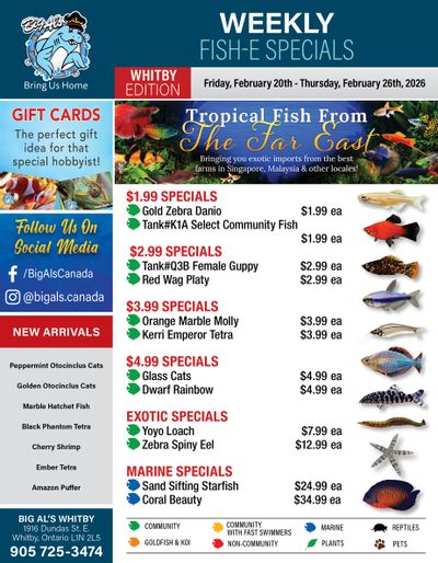 Big Al's (Whitby) Weekly Specials February 20 to 26