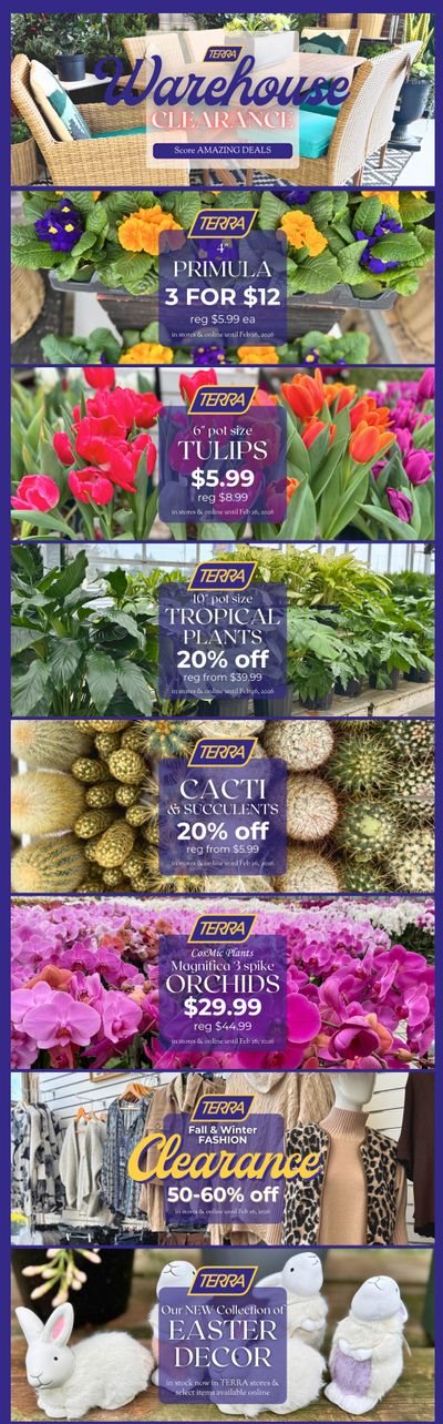 Terra Greenhouses Flyer February 20 to 26