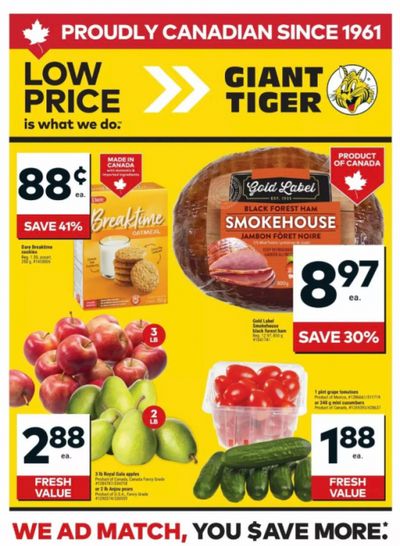 Giant Tiger Canada Flyer Deals February 25th – March 3rd