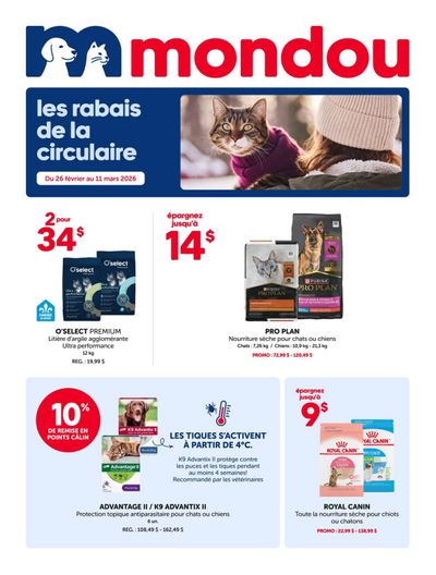 Mondou Flyer February 26 to March 4
