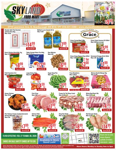 Skyland Food Mart Flyer February 27 to March 5