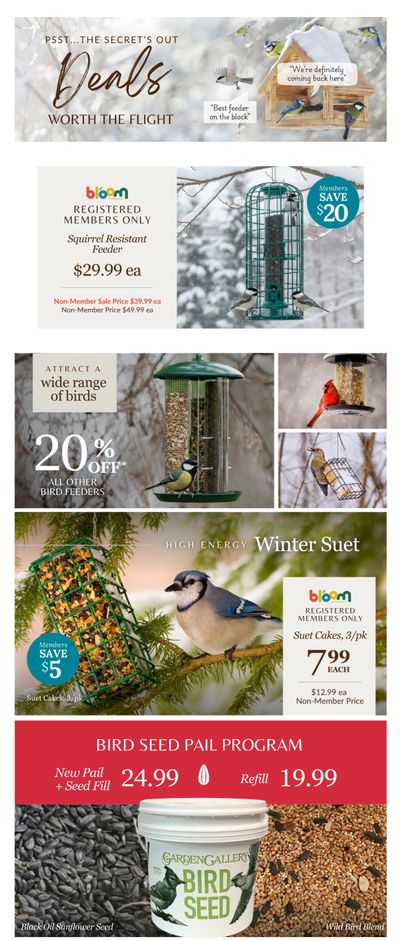 Lakeside Garden Gallery Flyer February 27 to March 5