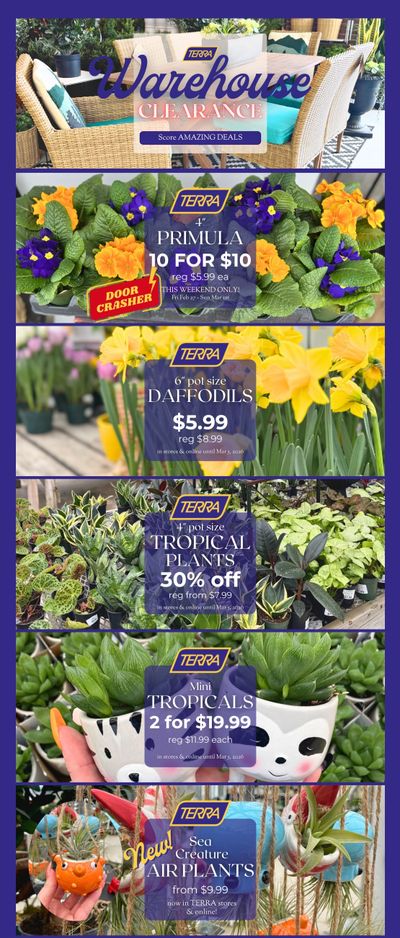 Terra Greenhouses Flyer February 27 to March 5