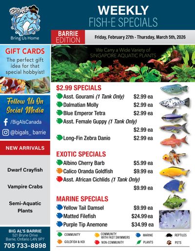 Big Al's (Barrie) Weekly Specials February 27 to March 5