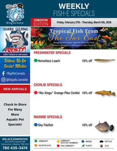 Big Al's (Edmonton) Weekly Specials February 27 to March 5