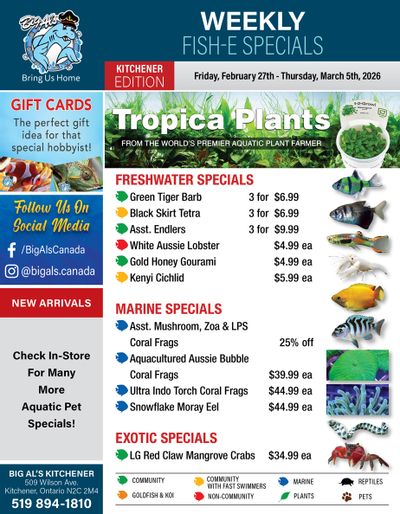 Big Al's (Kitchener) Weekly Specials February 27 to March 5