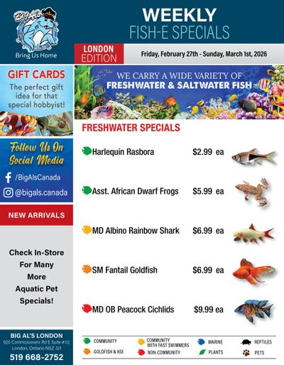 Big Al's (London) Weekend Specials February 27 to March 1