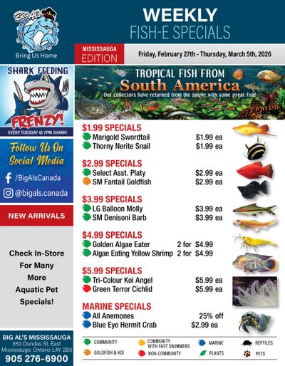 Big Al's (Mississauga) Weekly Specials February 27 to March 5