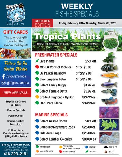 Big Al's (North York) Weekly Specials February 27 to March 5