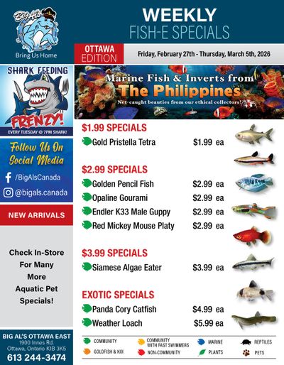 Big Al's (Ottawa) Weekly Specials February 27 to March 5