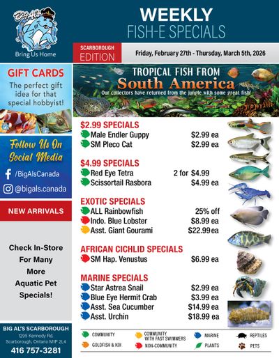Big Al's (Scarborough) Weekly Specials February 27 to March 5