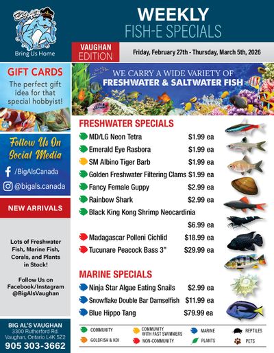 Big Al's (Vaughan) Weekly Specials February 27 to March 5