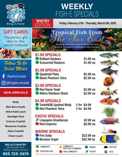 Big Al's (Whitby) Weekly Specials February 27 to March 5