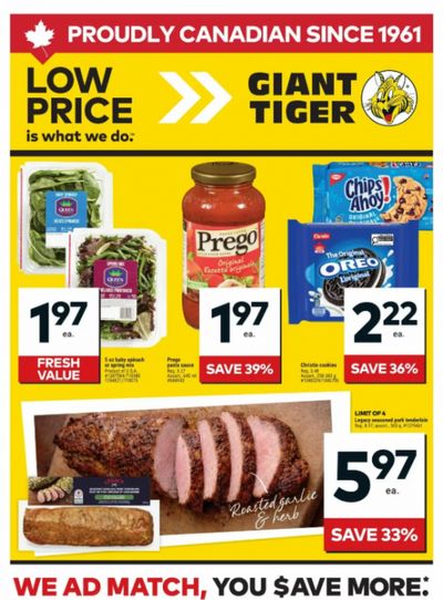 Giant Tiger Canada Flyer Deals March 4th – 10th