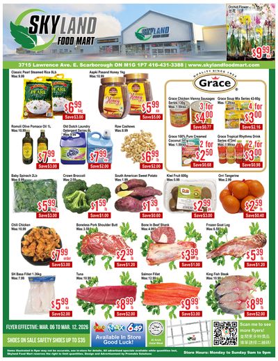 Skyland Food Mart Flyer March 6 to 12